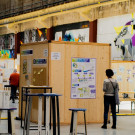 Cloison Bois au mètre linéaire - Decoroom